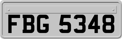 FBG5348