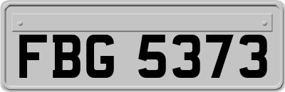 FBG5373