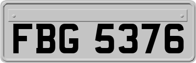 FBG5376