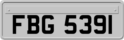 FBG5391