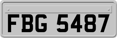 FBG5487
