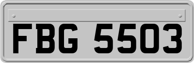 FBG5503