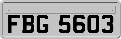FBG5603