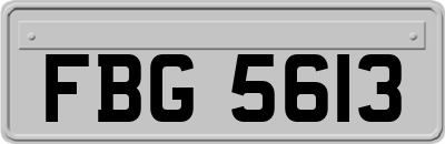 FBG5613