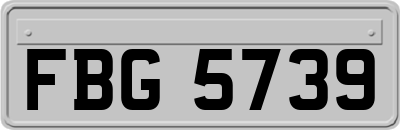 FBG5739