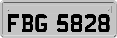 FBG5828