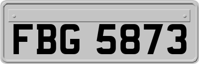 FBG5873