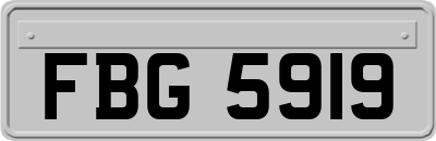FBG5919