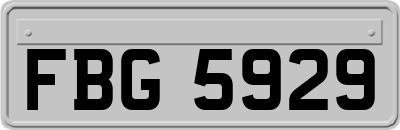 FBG5929