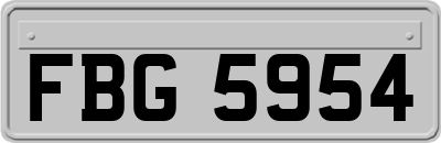 FBG5954