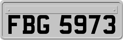 FBG5973