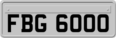 FBG6000