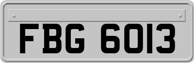 FBG6013