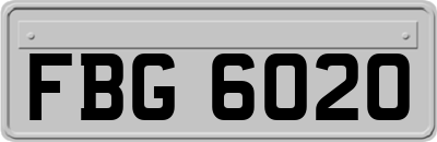 FBG6020