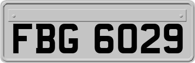 FBG6029