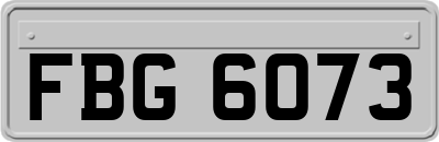 FBG6073