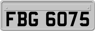 FBG6075