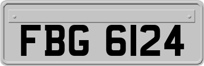 FBG6124