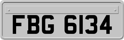 FBG6134