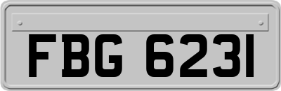 FBG6231