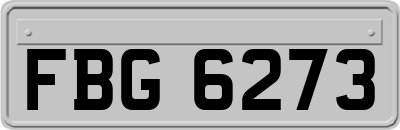 FBG6273
