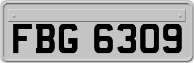 FBG6309