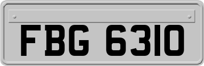 FBG6310