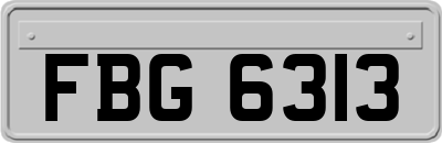 FBG6313