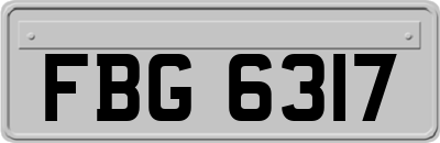 FBG6317