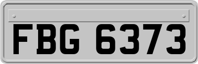 FBG6373
