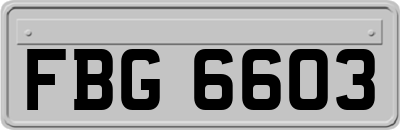 FBG6603