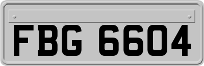 FBG6604