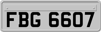 FBG6607