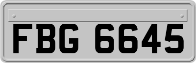 FBG6645