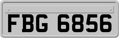 FBG6856