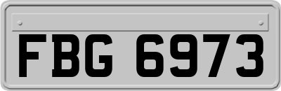 FBG6973