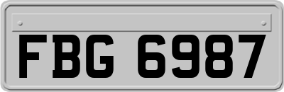 FBG6987