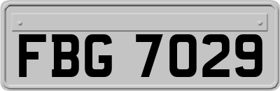 FBG7029