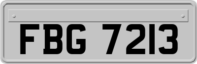 FBG7213