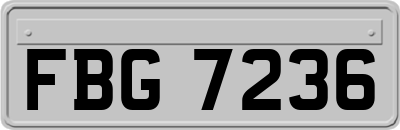 FBG7236