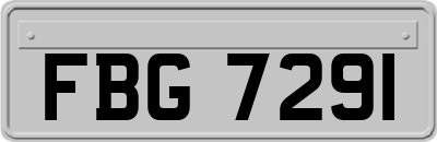 FBG7291