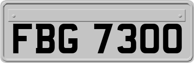 FBG7300