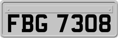 FBG7308