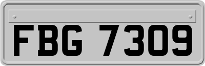 FBG7309