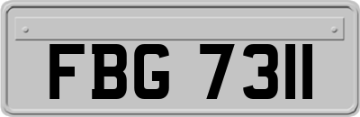 FBG7311