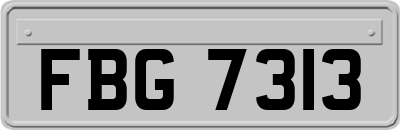 FBG7313