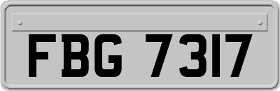 FBG7317