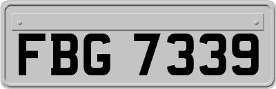 FBG7339
