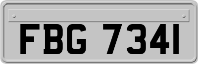 FBG7341