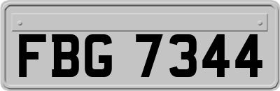 FBG7344